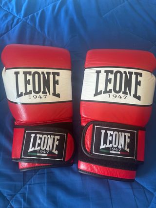 Guantes de boxeo 14 honzas