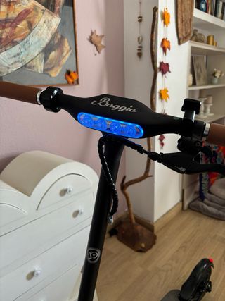 Patinete eléctrico SmartGyro Xtreme Baggio