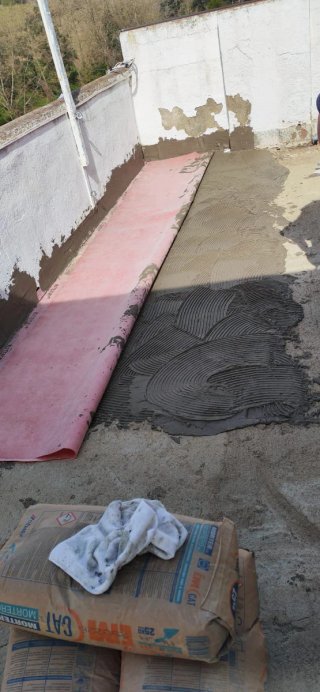 Paletas economicos.