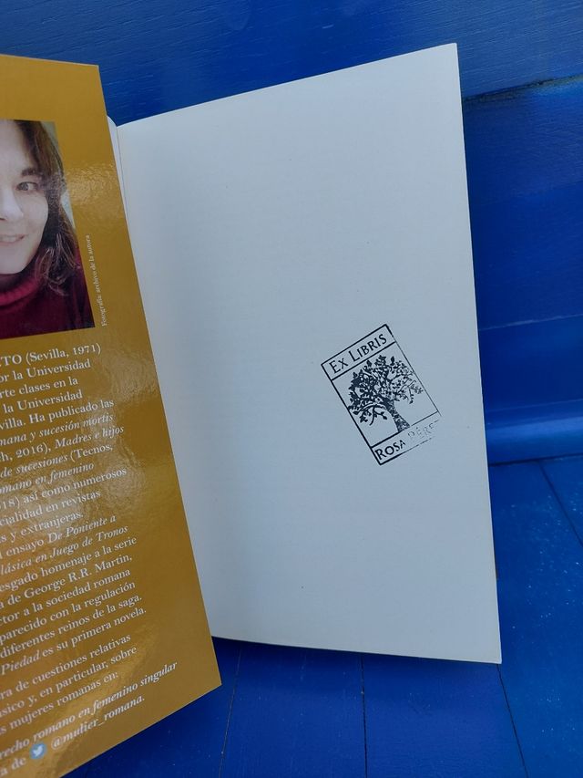 La casa de la Piedad