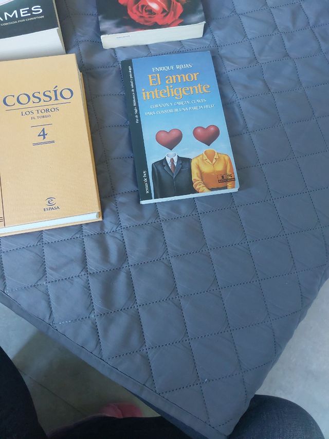 Libros: Grey, Adicción, Los Toros, El Amor Intelig