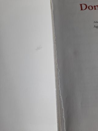 Don Quijote - Cucaña (Cucana) (Spanish Edition)