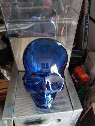 Teschio blu in vetro