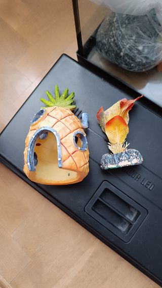 Pecera 20l + accesorios