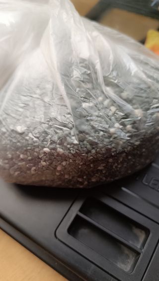 Pecera 20l + accesorios