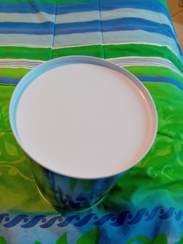 Salvadanaio Gatto & Cane