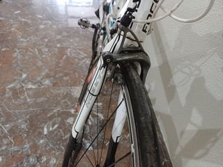 Bicicleta Focus Team Milram Carbono Talla S