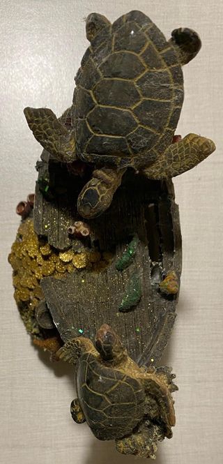 salvadanaio con tartarughe acquatico bello