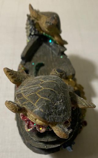 salvadanaio con tartarughe acquatico bello