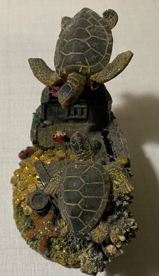 salvadanaio con tartarughe acquatico bello