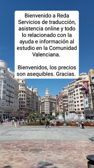 Servicios electrónicos y traductor