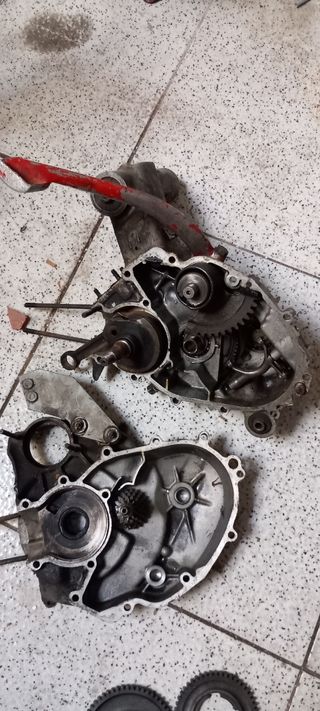 Carter motor, cigüeñal y pata arranque