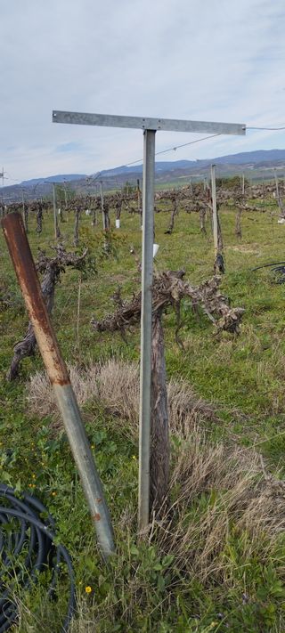 Hierros de viña