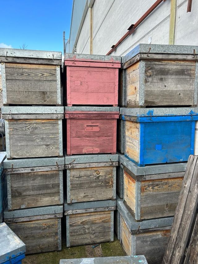 Cajas colmenas Layens semi nuevas