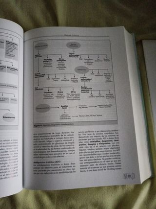 Manual del Residente de Aparato Digestivo