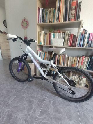 Bicicleta Berg Charm 205 niña