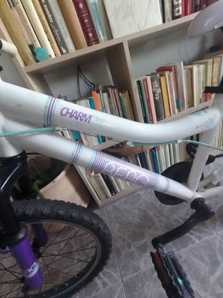 Bicicleta Berg Charm 205 niña