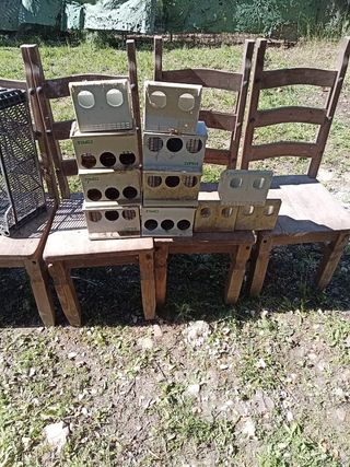 11 Comederos para pájaros COPELE a 3 e cada uno