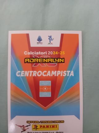 Figurine adrenalyn 24-25