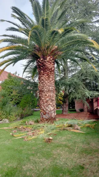 Jardinero en general