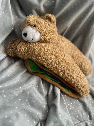 Peluche orso con libro all’interno 