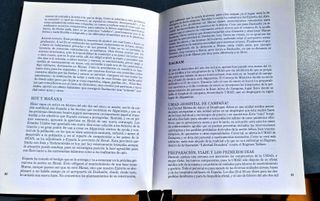 Alas españolas sobre asia central