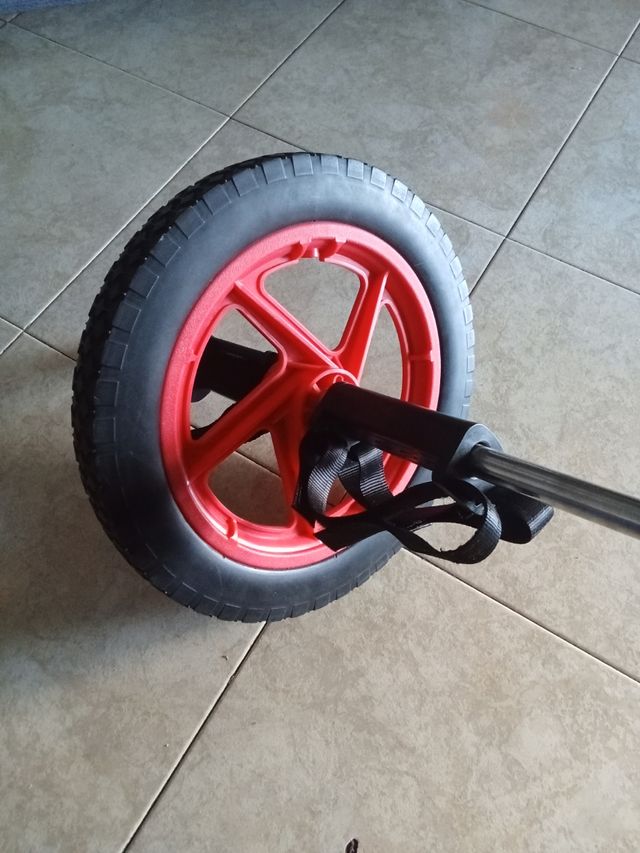 Rueda abdominal fitness