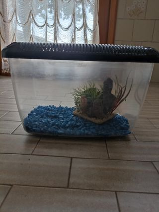 Acquario in plastica