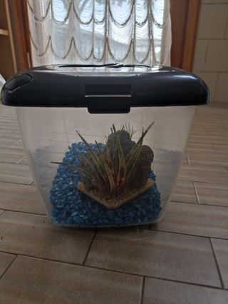 Acquario in plastica