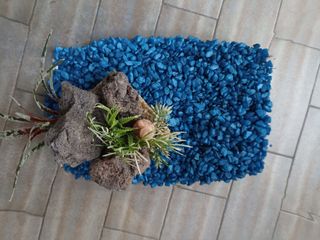 Acquario in plastica