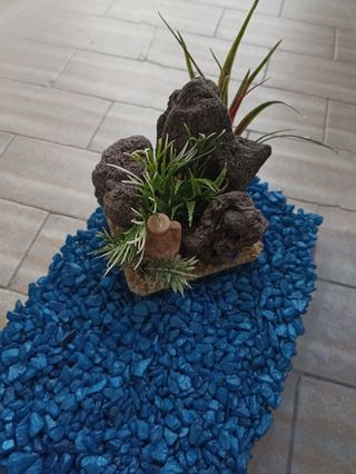 Acquario in plastica