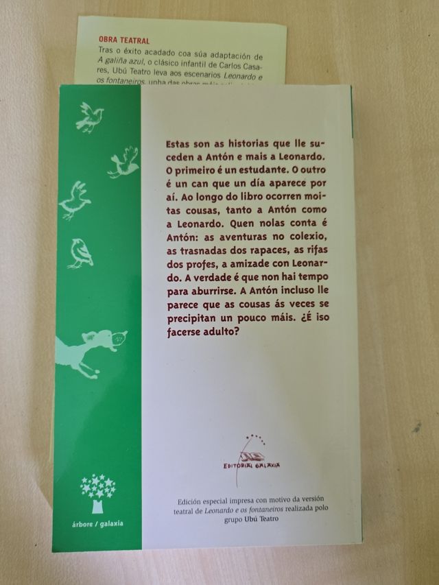 Leonardo e os fontaneiros