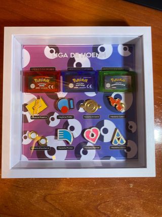 Cuadro Pokémon 3 Generación
