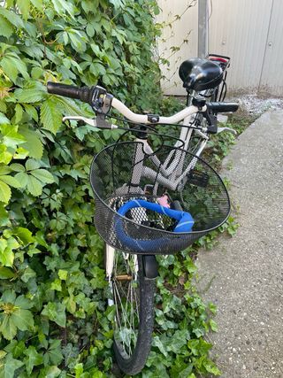 Bicicletta Donna Madicks Olanda Vintage - Ruote 26", Con Cestino Turchese, Già Montata Al 90% - Foto 7