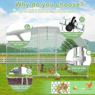 Gallinero de 3 x 6 m, recinto para gallinas