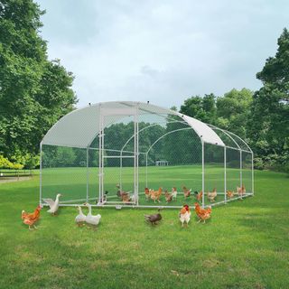 Gallinero de 3 x 6 m, recinto para gallinas