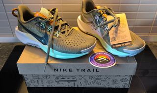 Nike Pegasus Trail Hombre 