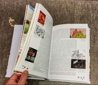 El mundo invisible de Hayao Miyazaki