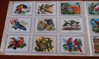 Álbum Vida y Color: cromos último precio