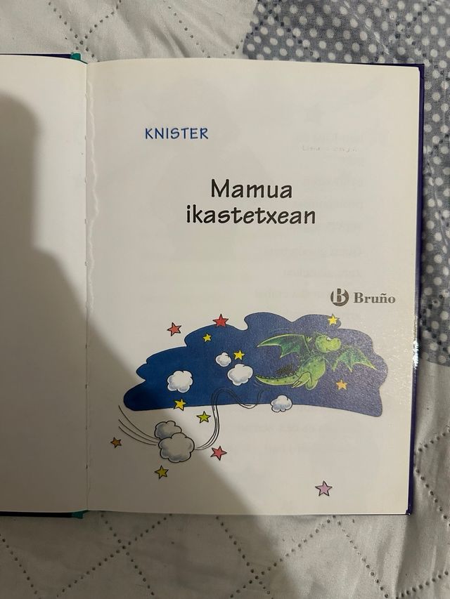 Mamua ikastetxean