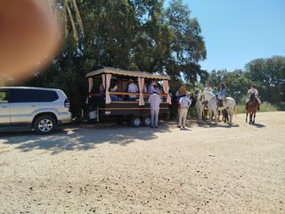 Carriola jardinera carro remolque