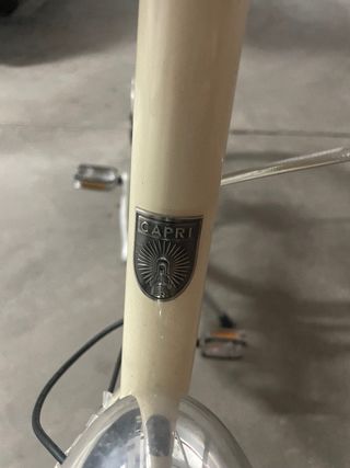 Bicicleta eléctrica Capri vintage