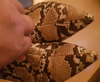 Botines mujer Stradivarius animal print 38