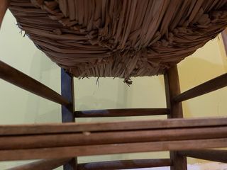 4 sillas madera rústica