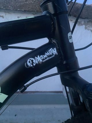 Bicicleta montaña Indur Mammoth
