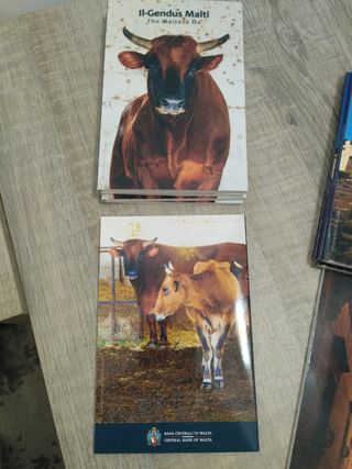 Moneda Malta 2025 BU Buey Maltés