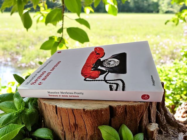 Libro - Senso e non senso