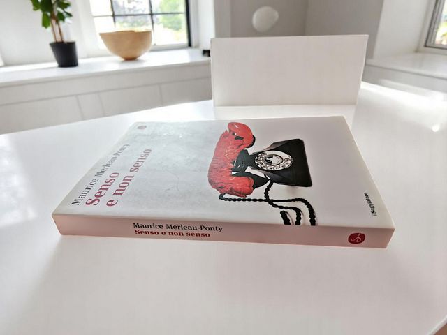 Libro - Senso e non senso