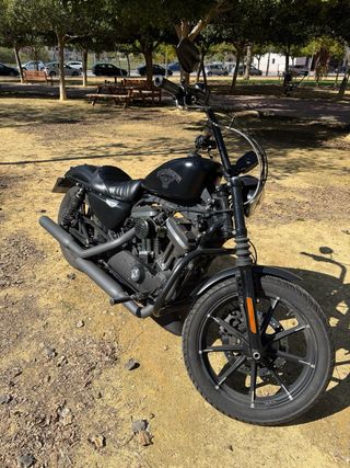 Harley Davidson Iron 883