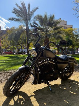 Harley Davidson Iron 883